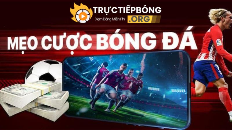 Bí quyết chơi kèo bóng đá tăng tỷ lệ thắng cao