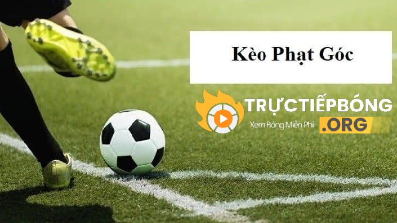 Bí quyết chơi kèo phạt góc có tỷ lệ thắng cao từ chuyên gia