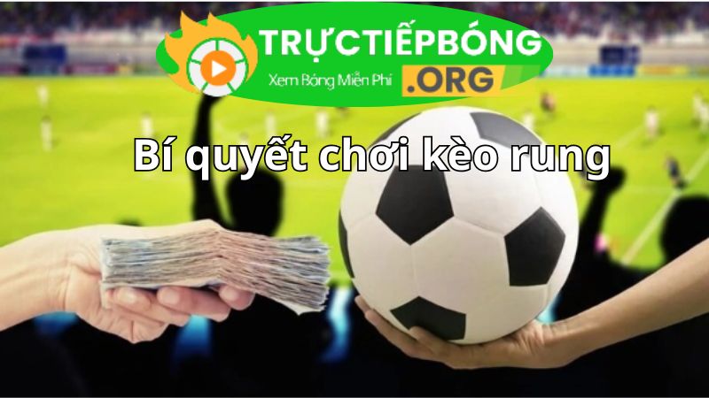 Bí quyết chơi kèo rung chuẩn tăng tỷ lệ chiến thắng